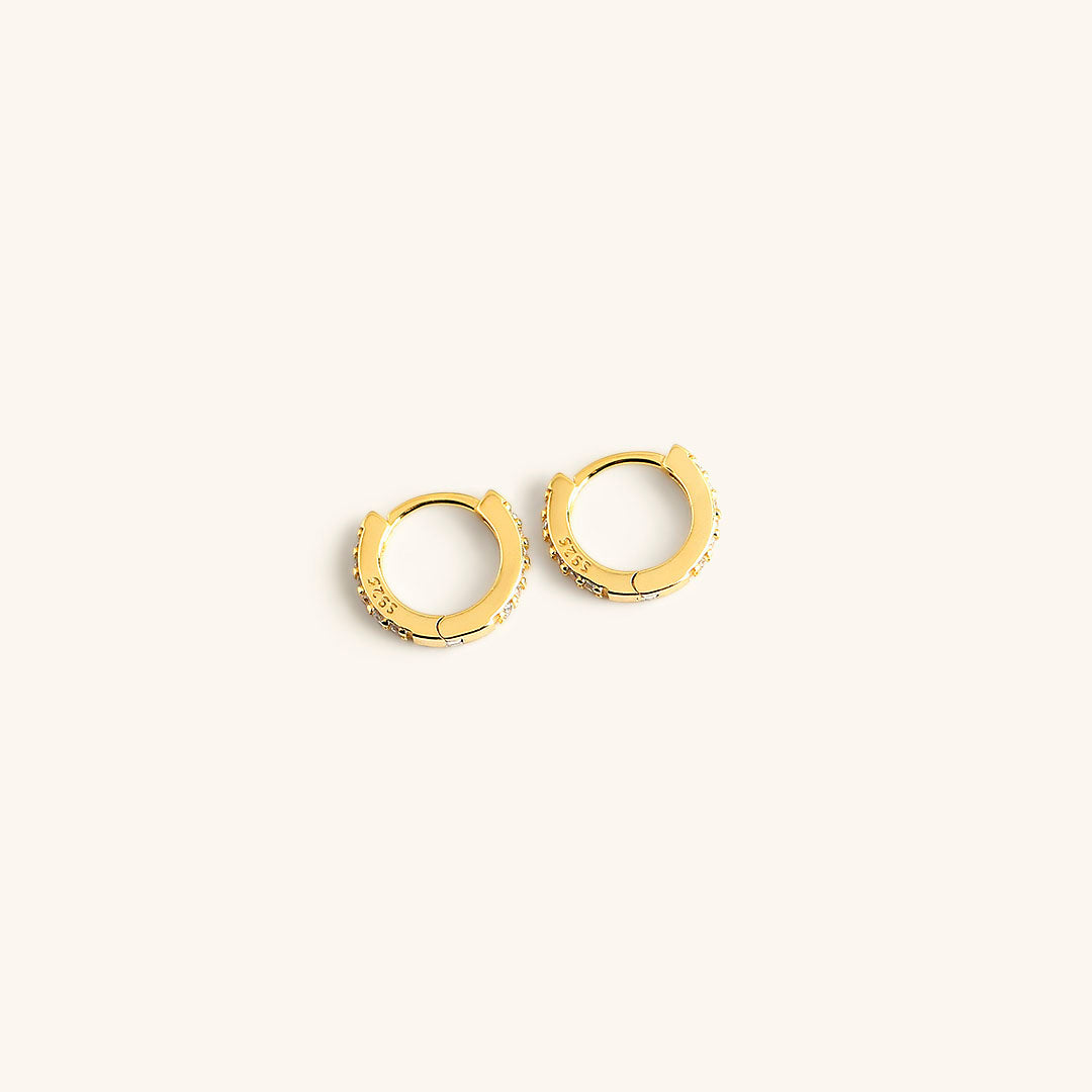 Terra Hoop Earrings